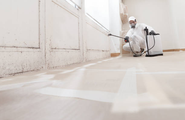 24/7 Emergency Basement Mold Removal experts in College Park, MD